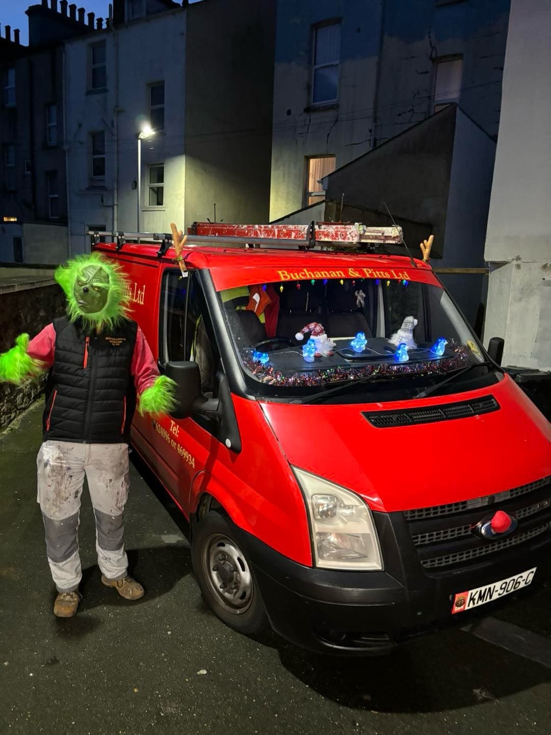 The Grinch at Christmas